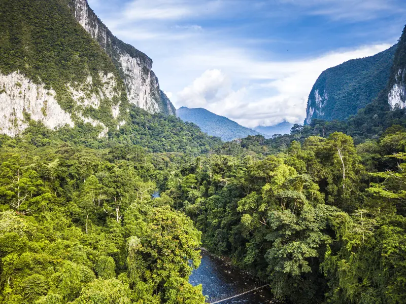 马来西亚古农穆卢国家公园的异域雨林景观 194748912