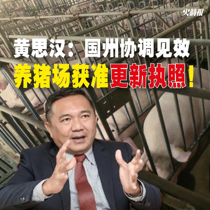 whatsapp image 2026 01 08 at 11.32.20 (1)