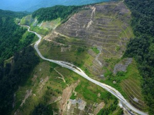 cameron-highlands-road