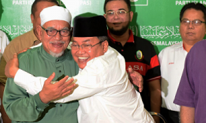 hadi perkasa