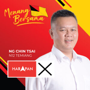 n12 ng chin tsai